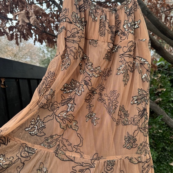 NWT Anthropologie Embroidered Sequin Mesh Maxi Dress โ Size L โ Neutral Motif - Picture 11 of 14